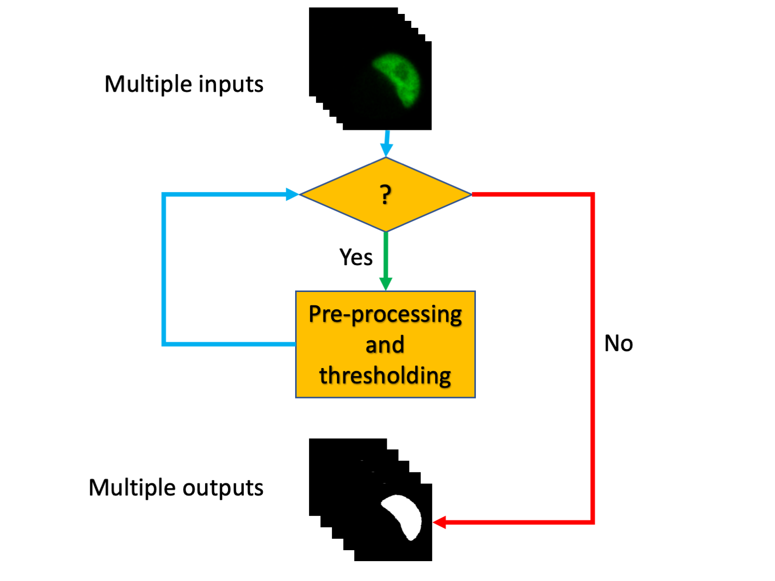 loops-image-analysis-training-resources